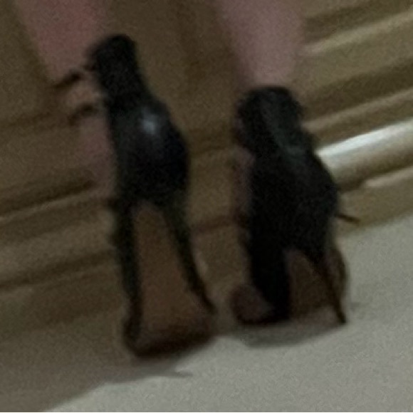 🔥♥️ Black BEBE Croc Embossed Sandals with Patent Leather Straps - Picture 8 of 12